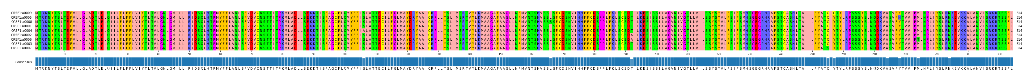Multiple Alignments (by translate haplotype similarity)