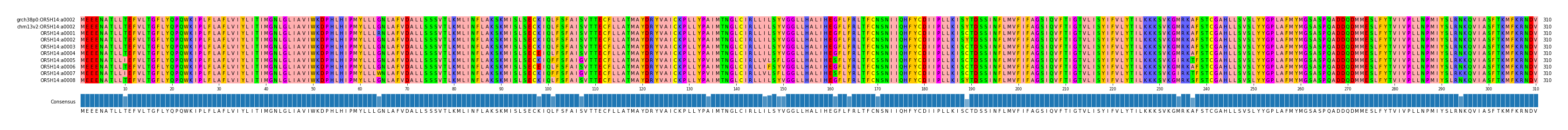 Multiple Alignments (by translate haplotype frequency)
