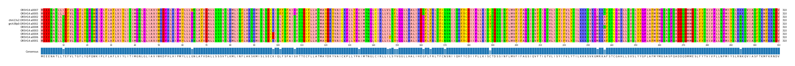 Multiple Alignments (by translate haplotype similarity)