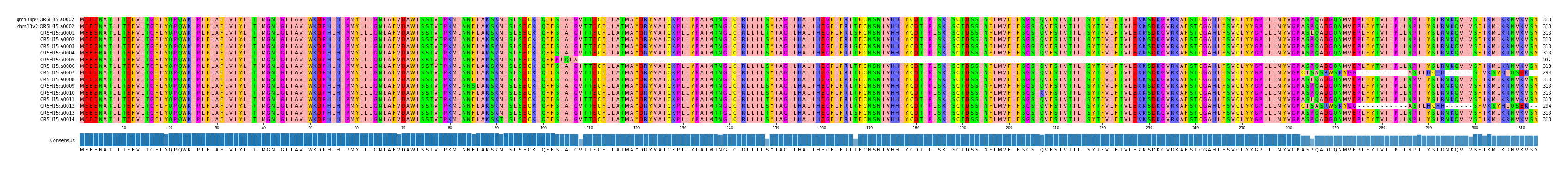 Multiple Alignments (by translate haplotype frequency)
