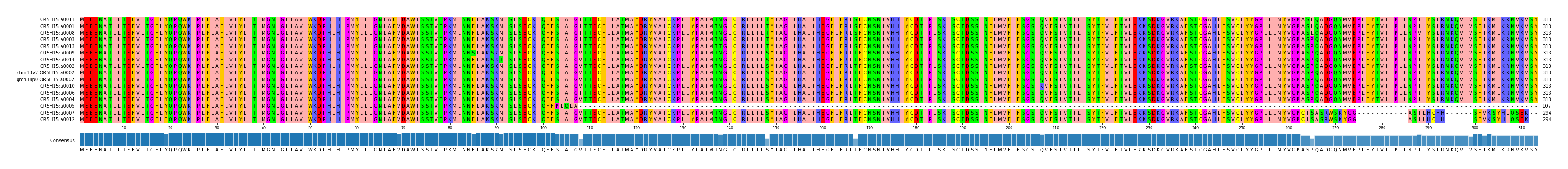 Multiple Alignments (by translate haplotype similarity)