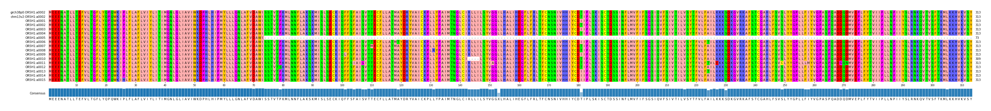 Multiple Alignments (by translate haplotype frequency)