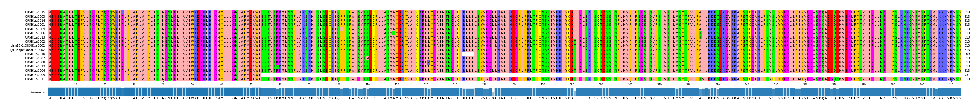 Multiple Alignments (by translate haplotype similarity)