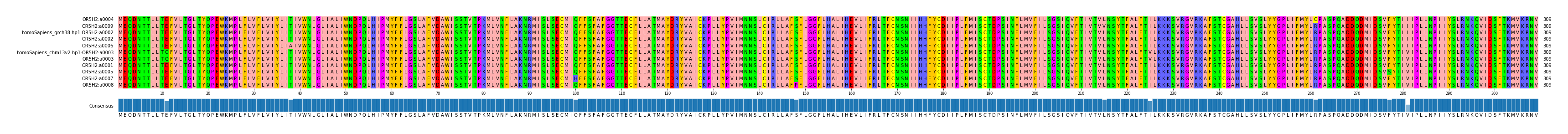 Multiple Alignments (by translate haplotype similarity)