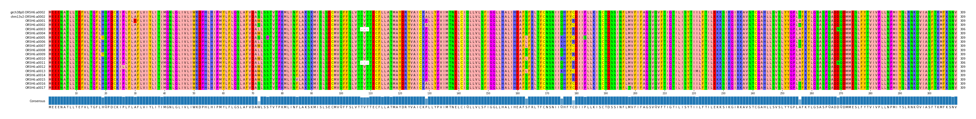 Multiple Alignments (by translate haplotype frequency)