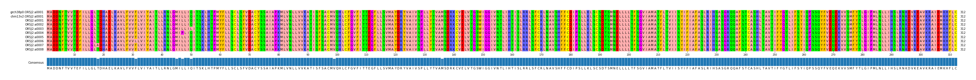 Multiple Alignments (by translate haplotype frequency)