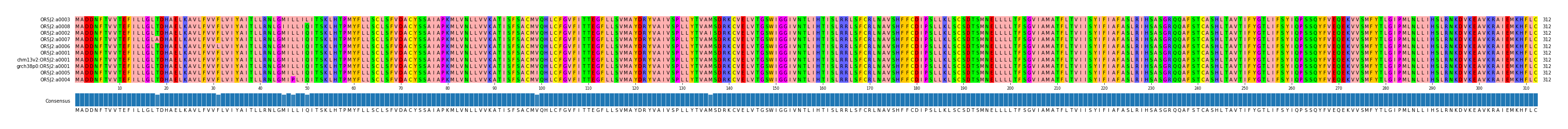 Multiple Alignments (by translate haplotype similarity)