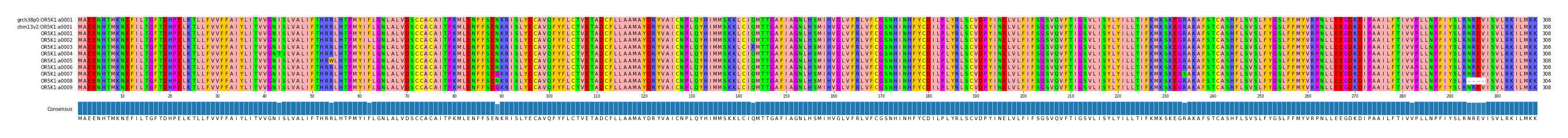 Multiple Alignments (by translate haplotype frequency)