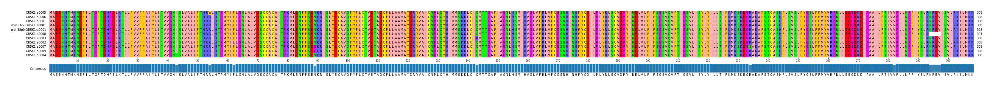 Multiple Alignments (by translate haplotype similarity)