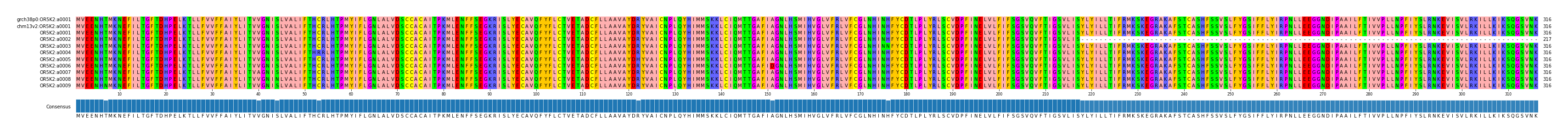 Multiple Alignments (by translate haplotype frequency)