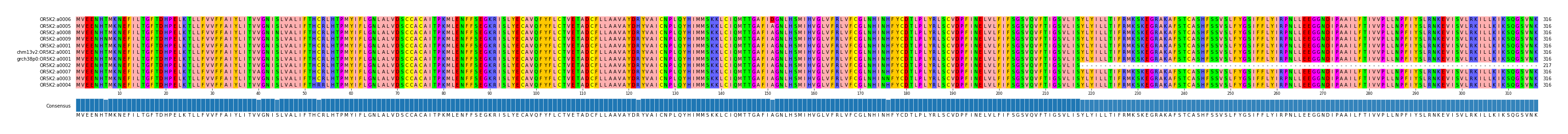 Multiple Alignments (by translate haplotype similarity)