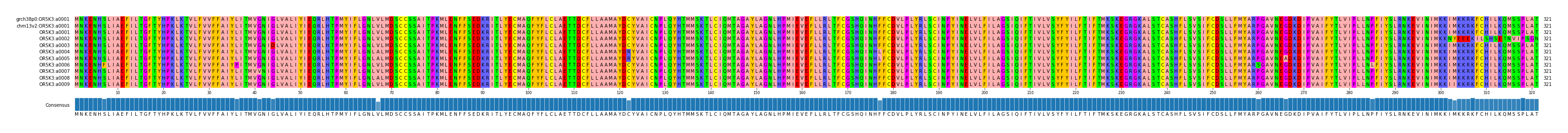 Multiple Alignments (by translate haplotype frequency)