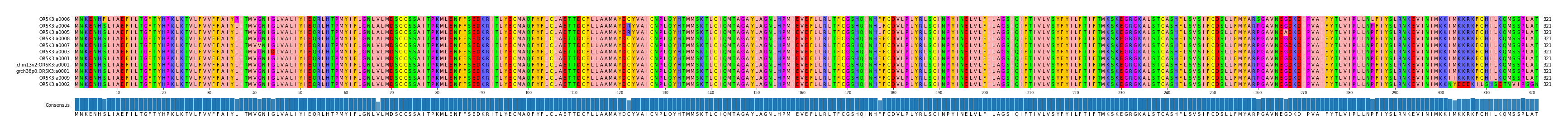 Multiple Alignments (by translate haplotype similarity)