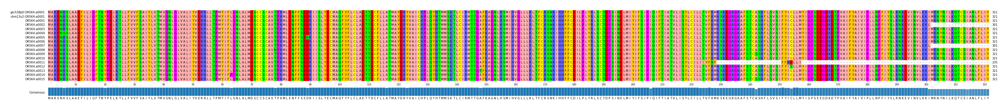 Multiple Alignments (by translate haplotype frequency)