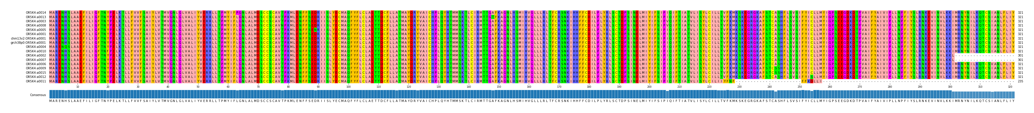Multiple Alignments (by translate haplotype similarity)