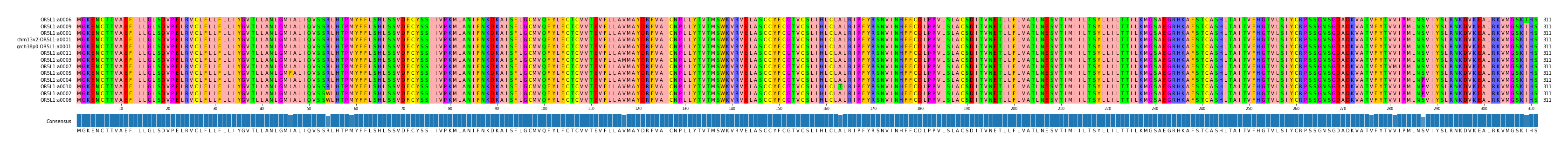 Multiple Alignments (by translate haplotype similarity)
