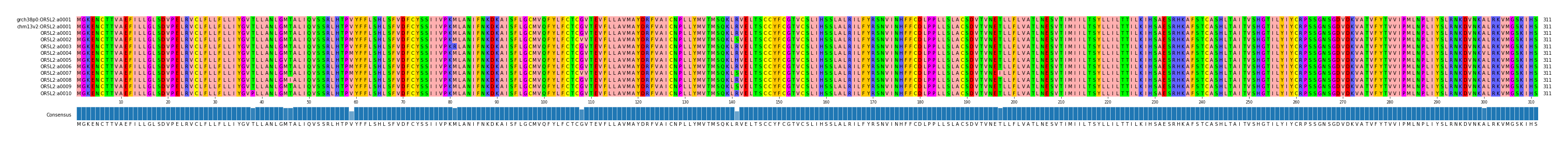 Multiple Alignments (by translate haplotype frequency)