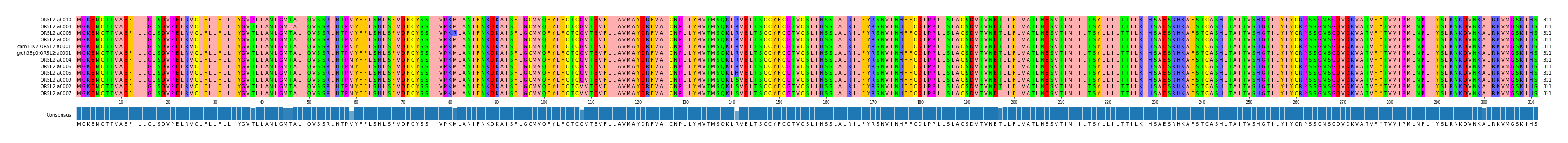 Multiple Alignments (by translate haplotype similarity)