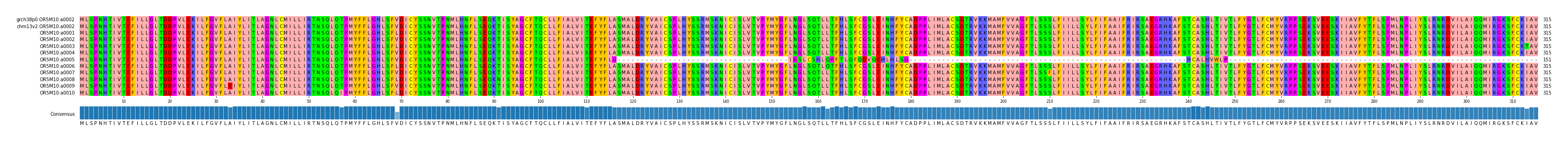 Multiple Alignments (by translate haplotype frequency)