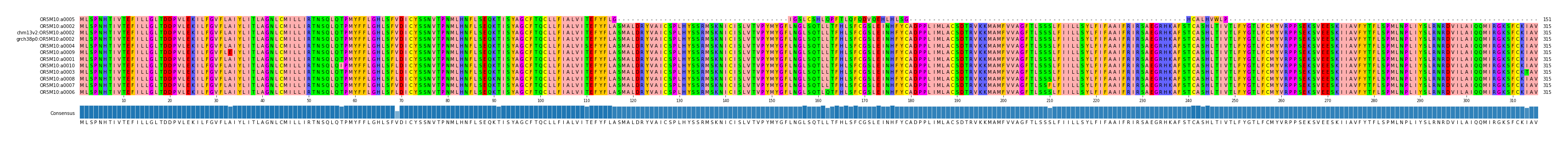 Multiple Alignments (by translate haplotype similarity)