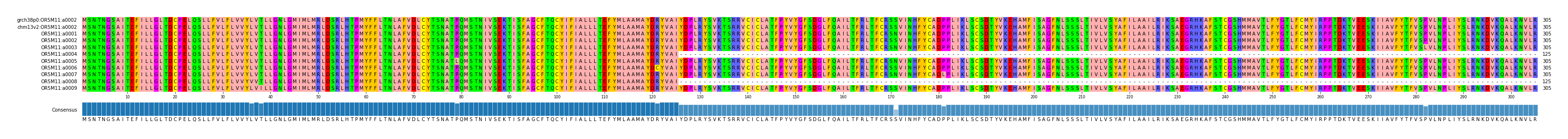 Multiple Alignments (by translate haplotype frequency)