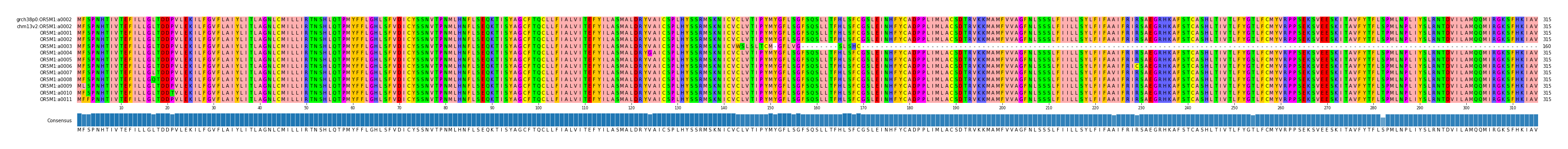 Multiple Alignments (by translate haplotype frequency)