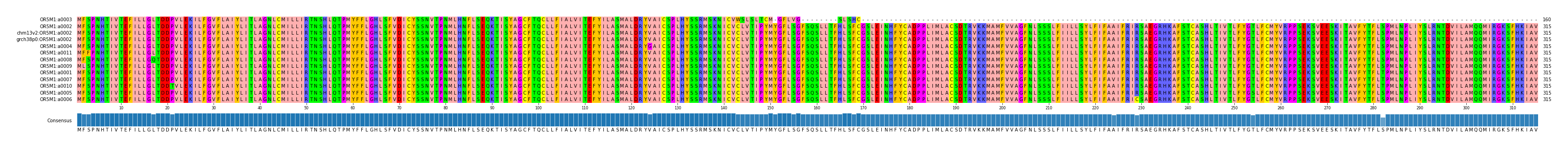 Multiple Alignments (by translate haplotype similarity)