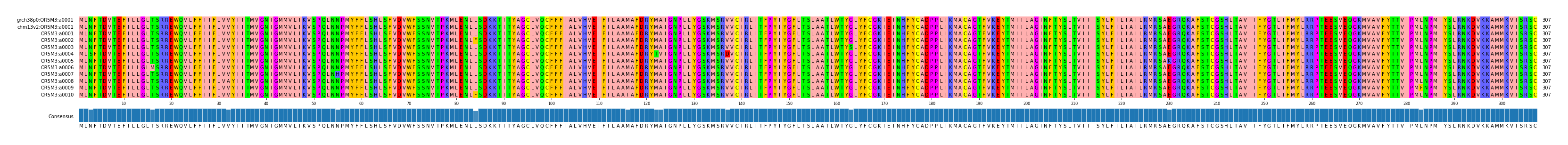 Multiple Alignments (by translate haplotype frequency)
