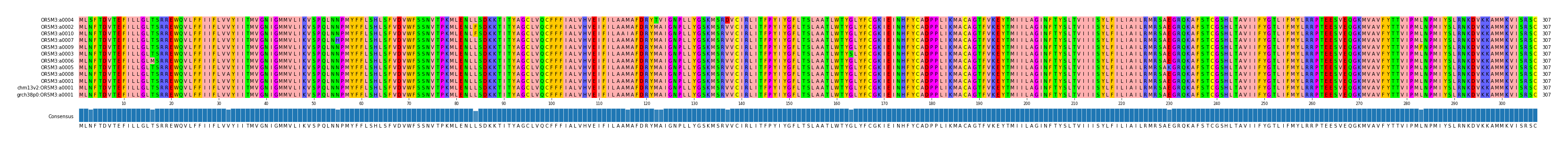 Multiple Alignments (by translate haplotype similarity)