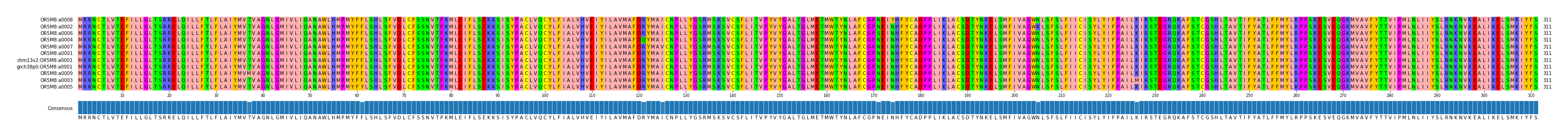 Multiple Alignments (by translate haplotype similarity)