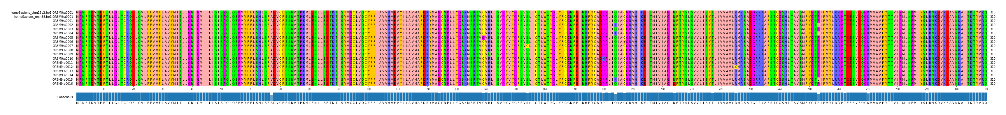 Multiple Alignments (by translate haplotype frequency)