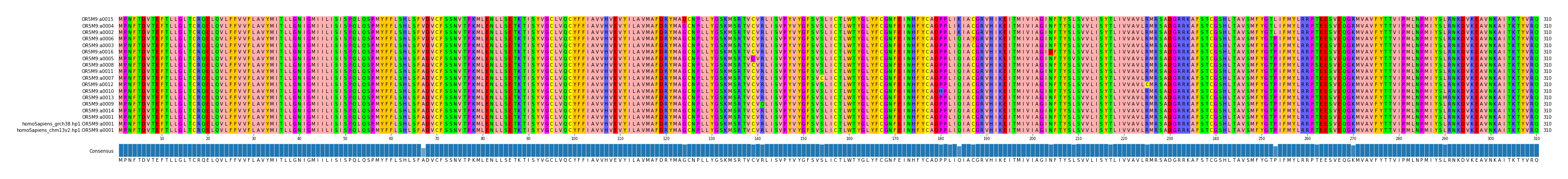 Multiple Alignments (by translate haplotype similarity)