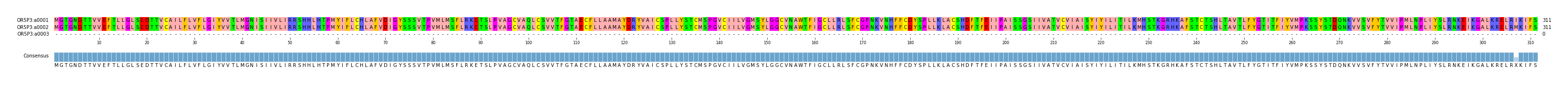 Multiple Alignments (by translate haplotype similarity)