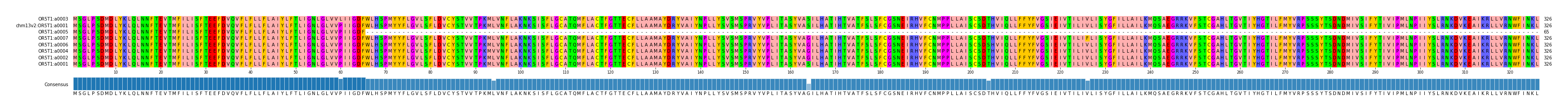 Multiple Alignments (by translate haplotype similarity)