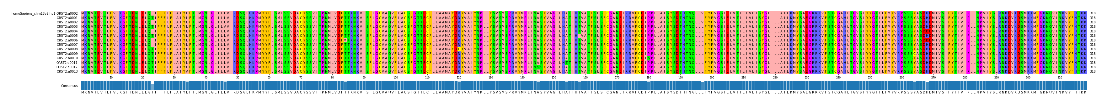 Multiple Alignments (by translate haplotype frequency)