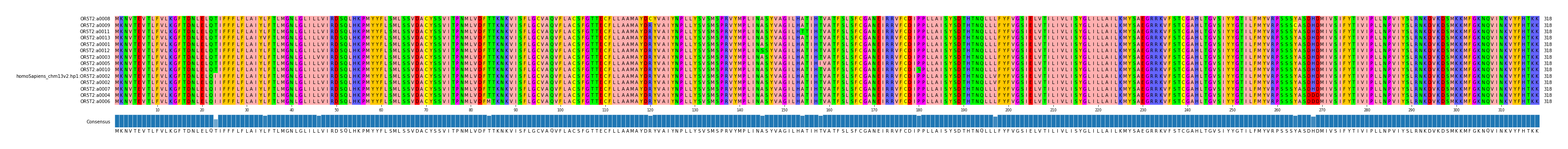 Multiple Alignments (by translate haplotype similarity)