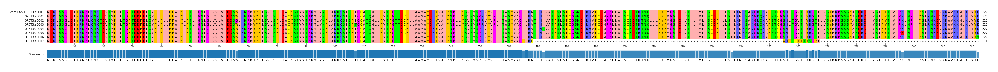 Multiple Alignments (by translate haplotype frequency)