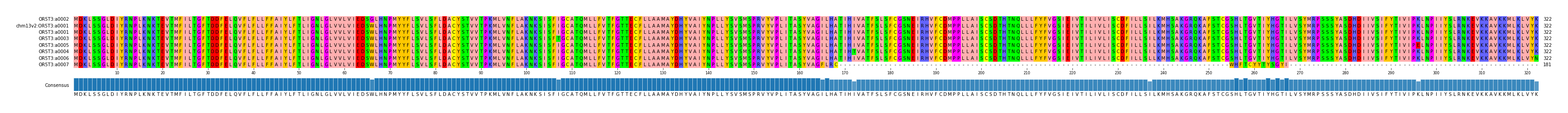 Multiple Alignments (by translate haplotype similarity)