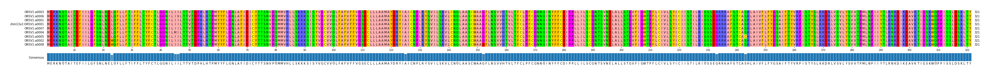 Multiple Alignments (by translate haplotype similarity)