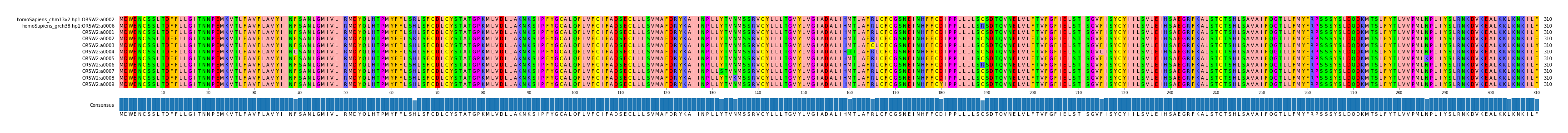 Multiple Alignments (by translate haplotype frequency)