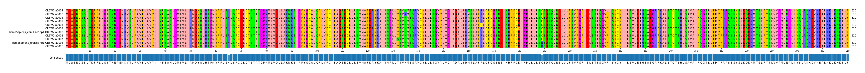 Multiple Alignments (by translate haplotype similarity)