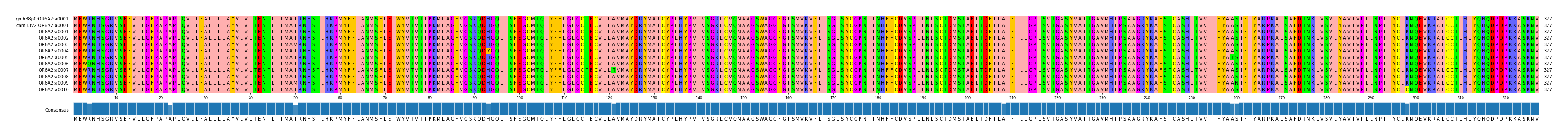 Multiple Alignments (by translate haplotype frequency)