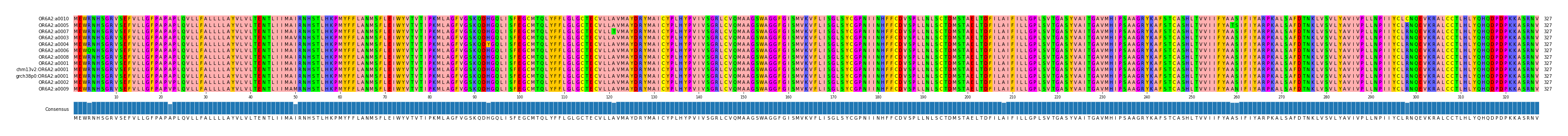 Multiple Alignments (by translate haplotype similarity)