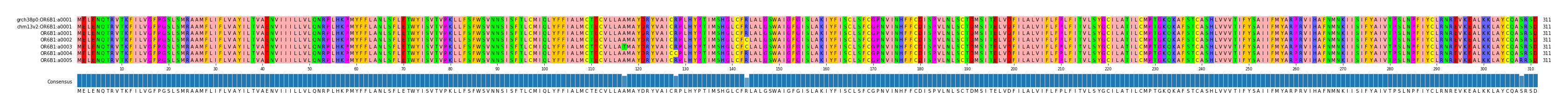 Multiple Alignments (by translate haplotype frequency)
