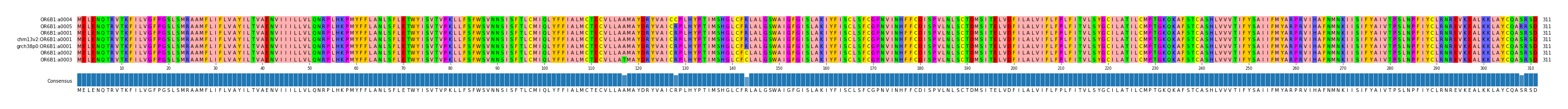Multiple Alignments (by translate haplotype similarity)