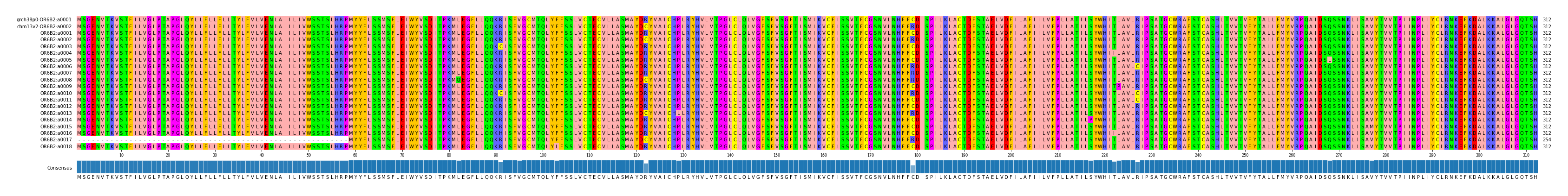 Multiple Alignments (by translate haplotype frequency)
