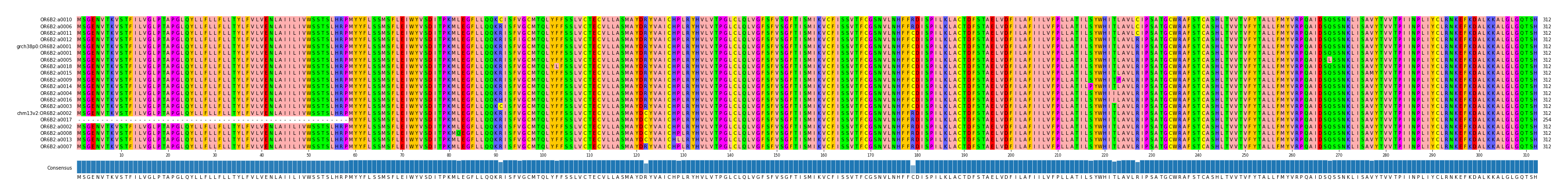 Multiple Alignments (by translate haplotype similarity)