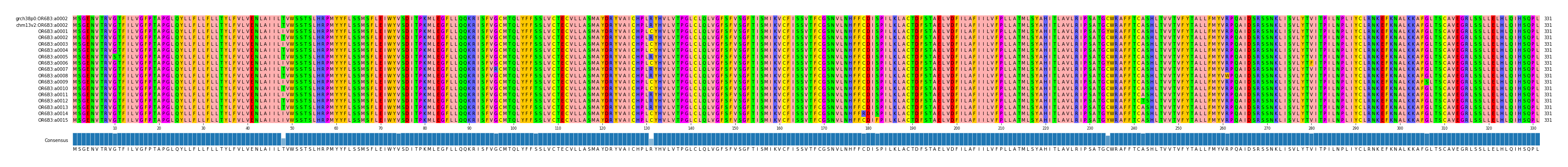Multiple Alignments (by translate haplotype frequency)