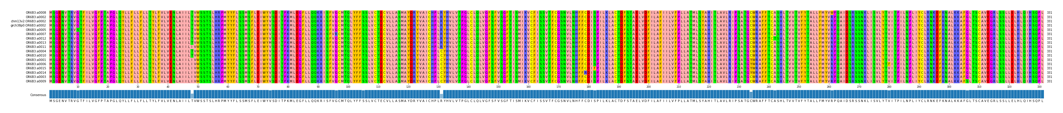 Multiple Alignments (by translate haplotype similarity)