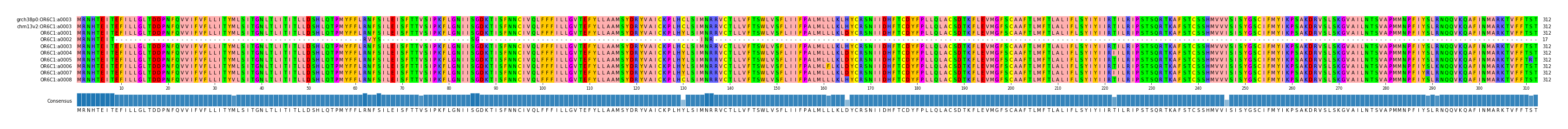 Multiple Alignments (by translate haplotype frequency)
